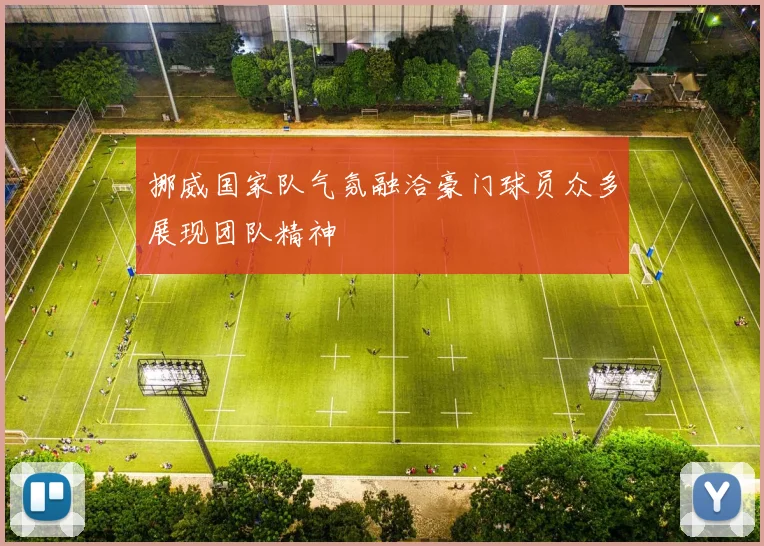 挪威国家队气氛融洽豪门球员众多展现团队精神