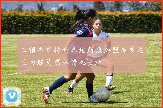 三镇冬季转会总结新援加盟与多名主力球员离队情况分析