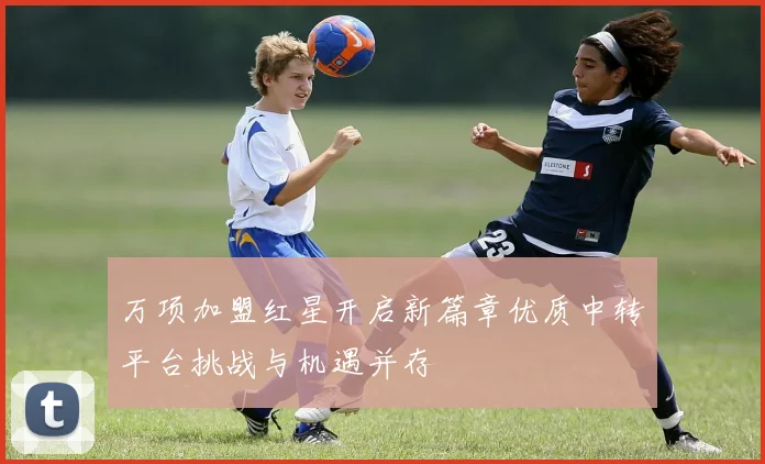万项加盟红星开启新篇章优质中转平台挑战与机遇并存